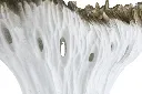 Bowl (2/Cs)