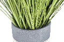 Greenery (4/Cs)