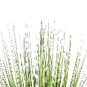 Greenery (4/Cs)