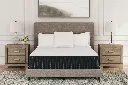 Ashley 12" Limited Edition Plush Queen Mattress - White - 12"