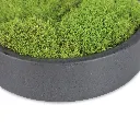 Greenery (4/Cs)
