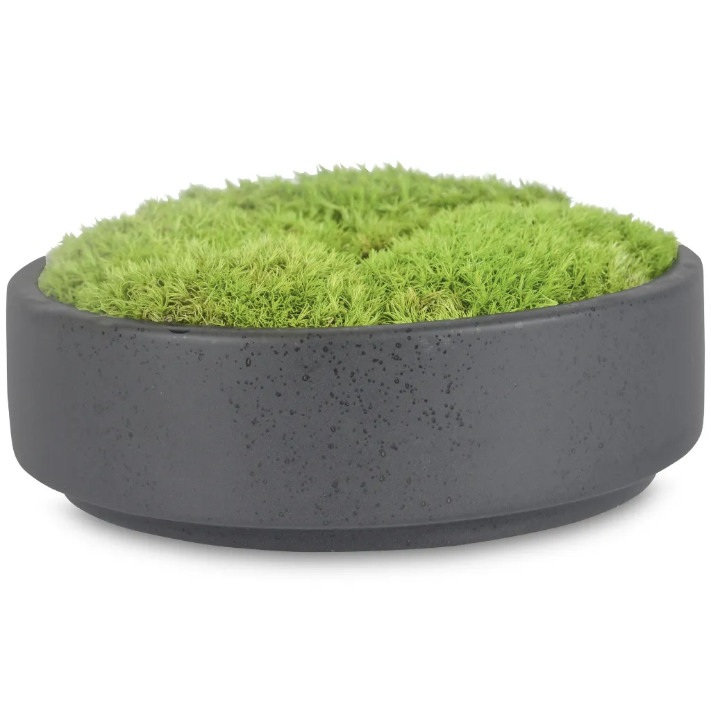 Greenery (4/Cs)