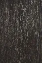 imgi_25_W736-FINISH.webp