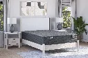 M30231W1.webp
