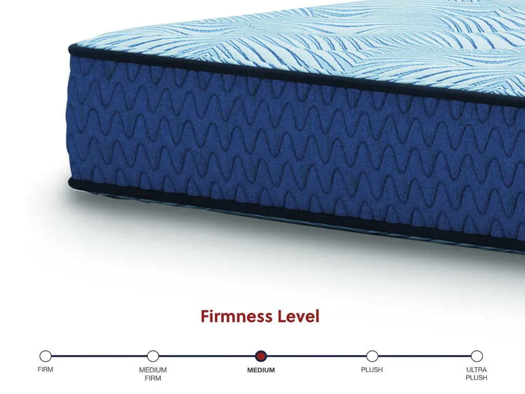 M20231-Firmness_Template.webp