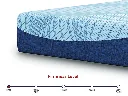 M20531-Firmness_Template.webp