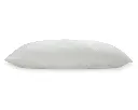 imgi_24_M44001-HEAD-ON-SW.webp
