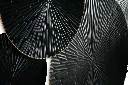 imgi_28_A8010301-DETAIL-SW.webp
