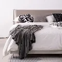 19236025-3_1.webp