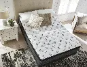 Ashley Ultra Luxury ET With Memory Foam King Mattress